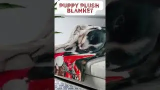 Happy Pawlidays Plush Blanket | Holiday Shopping 2022 | Pet Lovers