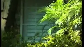 Girl accused of poisoning family