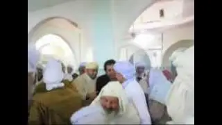 بني ونيف ...استقبال الشيخ  سيدي حمزة حفيد الشيخ  بوعمامة