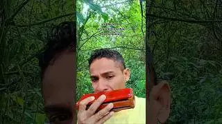 preg&uacute;ntele a su hija con harmonica #samyteran #musica #vallenato #music #talent #harmonica