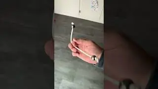 [🦋] Begleri