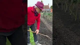 How to prep beds, no dig with lumpy compost