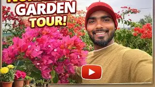 🌼Spending My Day in the Garden || Daily Life Vlog ||