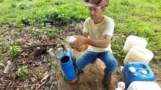 QUAL PRODUTO PASSAR NO CAF&Eacute; PARA CRESCER PONTEIRO E GUIA .