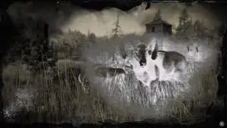 Red Dead online bug camp changement de session