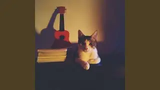 Fun Ukulele