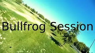 Guerrilla Drone -  Bullfrog Session