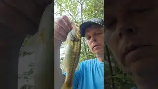 In God with Fun Bass Fishing 9-19-2025 at a community pond in Margaret Alabama #fishing #bassfishing