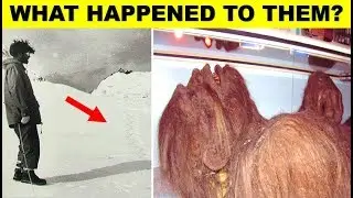 Top 4 Most Credible Yeti Encounters That Can't Be Explained