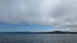Spicy Adventures: Whale Watching!