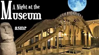 A Night at the Museum: ASMR for sleep (Paleontology, Archaeology, Zoology, Anthropology, Chile...)