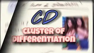 Cluster of differentiation/ CD marker  ( dmsenta ) #medical #mbbs #immunity #microbiology  #neet