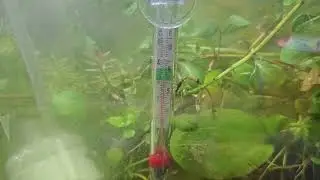 Aquarium Thermometer