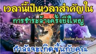 🍒EP.429 เวลานี้เป็นเวลาสำคัญในการชำระล้างครั้งยิ่งใหญ่กำลังจะเกิดขึ้นกับคุณ
