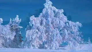 1 HOUR I Soft Piano, Meditation, Relaxation, Sleep, Calm, Yoga, Soothing, Ambient Music.
