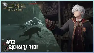 호그와트 12 - 역대최강 거미