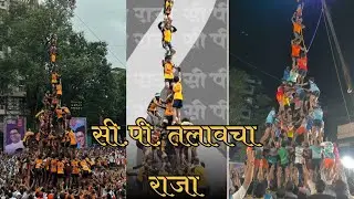 सी.पी. तलावचा राजा गोविंदा पथक ठाणे २०२५ C.P. TALAV CHA RAJA GOVINDA PATHAK THANE 2025
