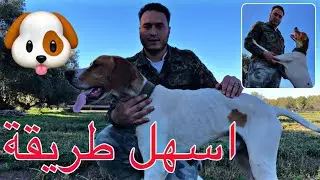 اسهل طريقة لتدريب كلب 🦮 صيد عمره اكتر من سنة💯