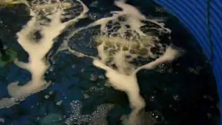 Super intensive shrimp RAS - www.llyna-aquaculture.co.uk