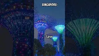 Singapore's Unique Chewing Gum Law 🇸🇬🚫