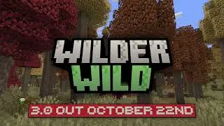 16 Minutes Of Wilder Wild 3.0's Cave Ambience