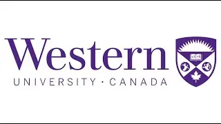 Associate Vice-President, Equity, Diversity & Inclusion, Western University