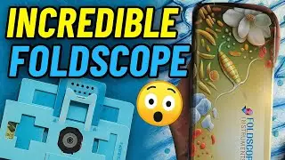 Unique Foldscope ✨ || Microscopic world || Foldscope review 😍 #microscope #Foldscope #youtube