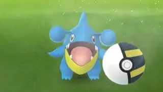 Gible community day | Gible evolution | shiny Gible evolution
