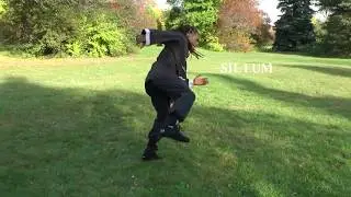 Sil Lum Hung Gar Kung Fu Kicks, Montreal 2017- [Full HD] by durachiu