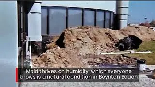 This Boynton Beach, Florida Mold Removal & Remediation Company Saves You Money