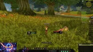 WOW Classic Journey. Rogue leveling Longplay relaxing. Part 1