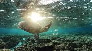 magic mala jadui jungle bhag 2