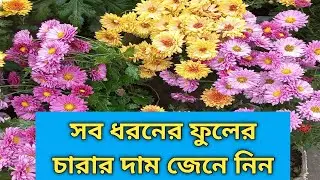 ফুলের চারা কিনুন কম দামে.kom dame fuler chara kinun/নিজাম নার্সারি-০১৯৬৪৯৫৪৯৮৭