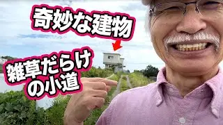 [Eng sub] Landscape painting full of weeds. How does Grandpa Sensei paint?