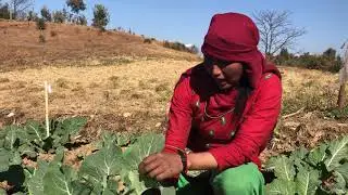 Niwf Nepal - IPM Training