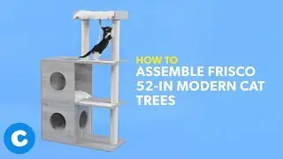 How to Build Frisco 52-Inch Modern Cat Trees | Chewy