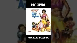 R de rumba violadores del verso Amberes samples #vdv #kaseo #shohai