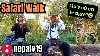 DANGER = TIGRE DANS LA JUNGLE DE CHITWAN ( SAFARI WALK)🦏🌿&rdquo;NEPAL VLOG 19
