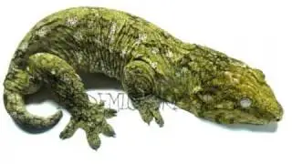 KILLER REPTILES!!