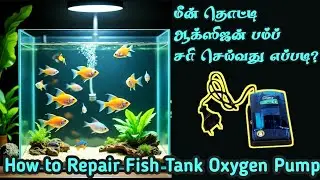 How to Repair Fish Tank Oxygen Pump | How to Repair Fish Tank Oxygen Pump?