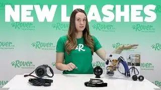 4 инновационных поводка для собак: протестировано и проверено | Обзор продукции Rover