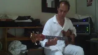 Old Alembic left handed bass