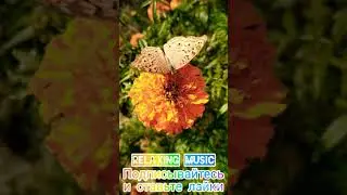 #Relaxing #music #video's #Nature4k #Rain #waterfalls #Shorts #природа 4к #дождь #водопады #океан