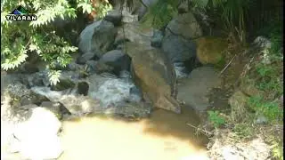 Quebrada A Orilas Del Camino En Tronadora - www.tilaran.net