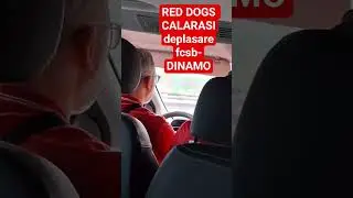 Deplasare RED DOGS CALARASI la fcsb- DINAMO