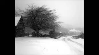 Mirkwood - Winter Path