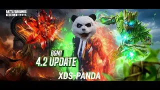 BGMI GAME NIGHT TRANING FOR BMPS XDS-PANDA Live Stream