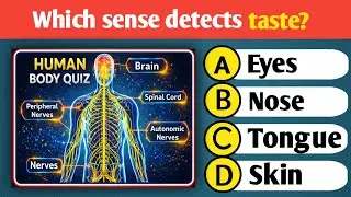  Part 2...Ultimate Human Body Quiz &ndash; 25 Questions to Test Your Knowledge!