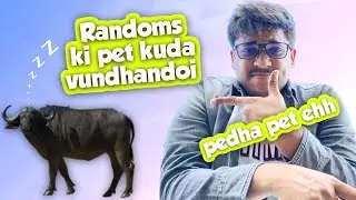 Randoms Mari Pedha Pet aaaaa   | Pubg mobile telugu