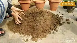 How to shift plants 🌱